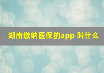 湖南缴纳医保的app 叫什么